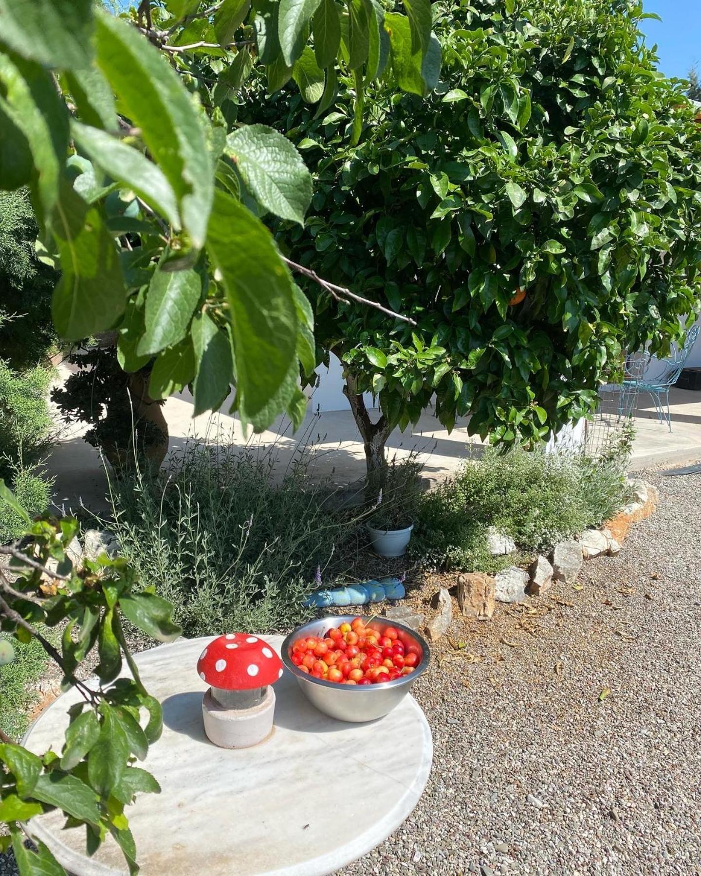 Lavender Farm House Nafpaktos Buitenkant foto